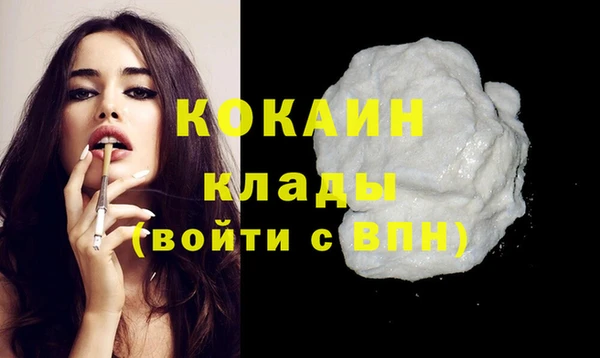молекула духа Богданович