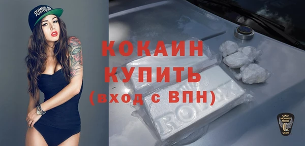 бошки Богородицк