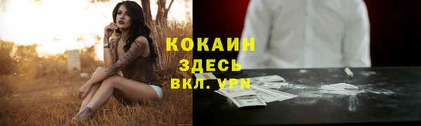 молекула духа Богданович