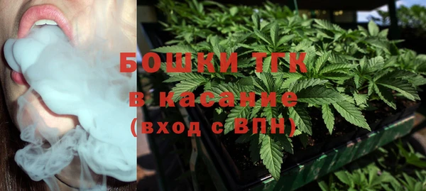 молекула духа Богданович