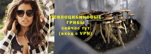 бошки Богородицк