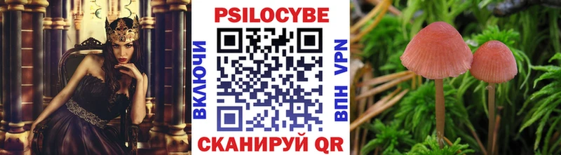 Псилоцибиновые грибы Psilocybe hydra онион Верхняя Пышма
