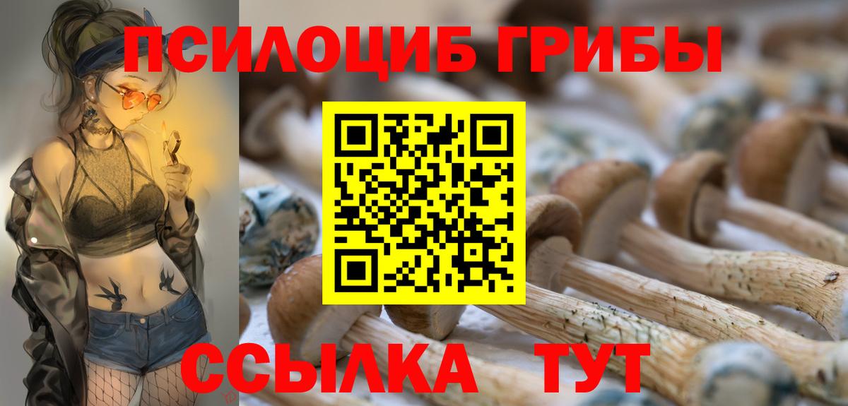 Галлюциногенные грибы Psilocybe Верхняя Пышма